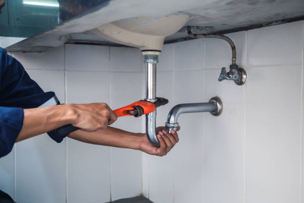 Best Clogged Drain Plumber  in Hartwell, GA